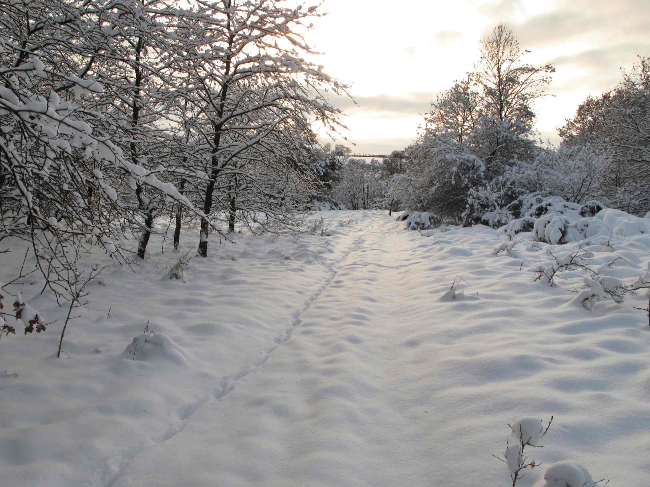 Vinter